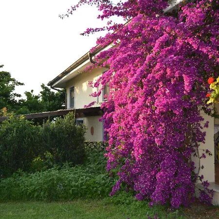 Villa Collebelvedere - Near Rome With Home Restaurant