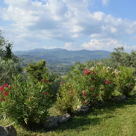 Villa Collebelvedere - Near Rome With Home Restaurant