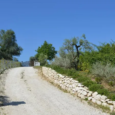 Apartment Villa Collebelvedere - Near Rome With Home Restaurant